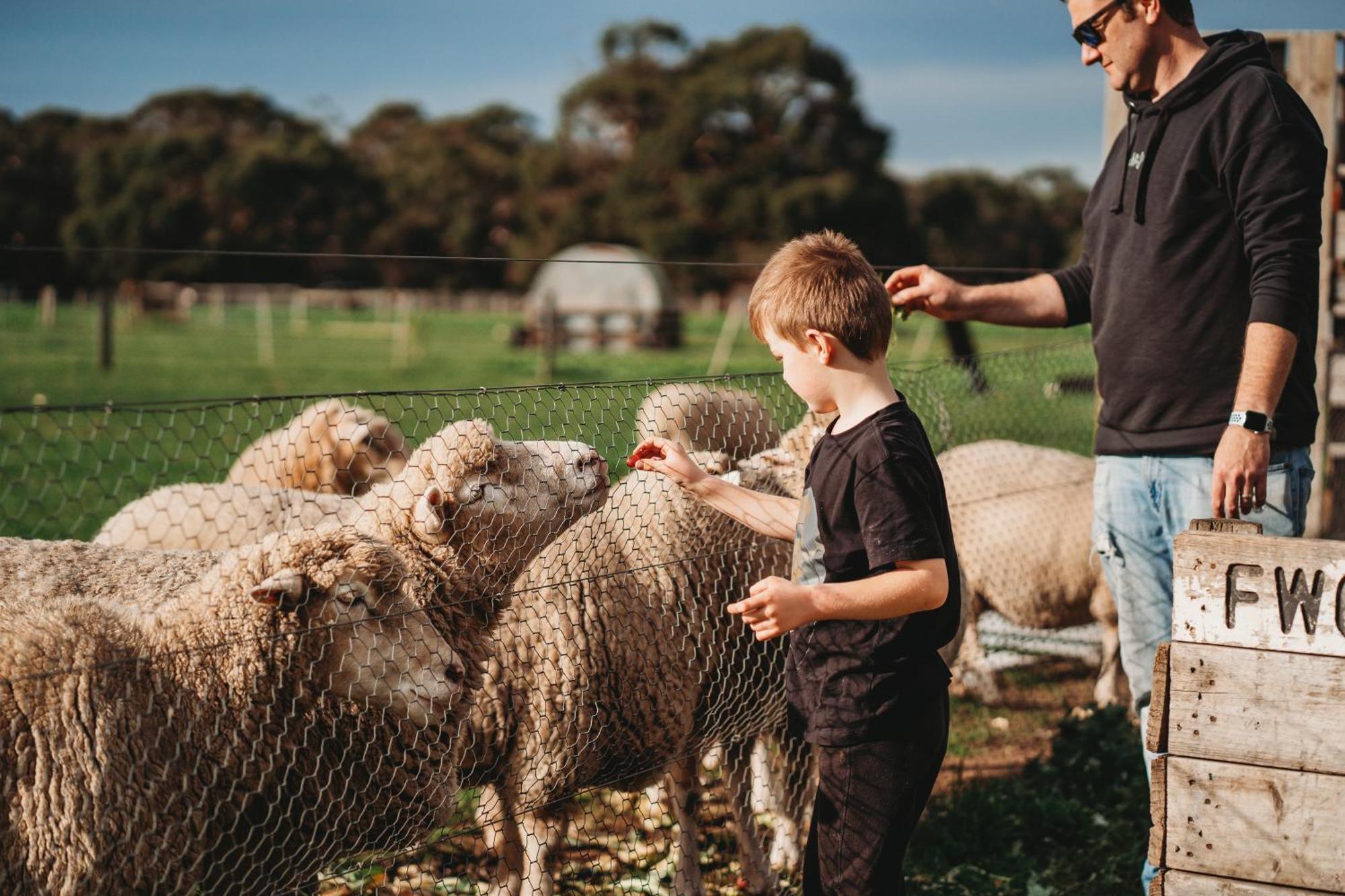 Freshwater Creek Cottages & Farm Stay Torquay Esterno foto