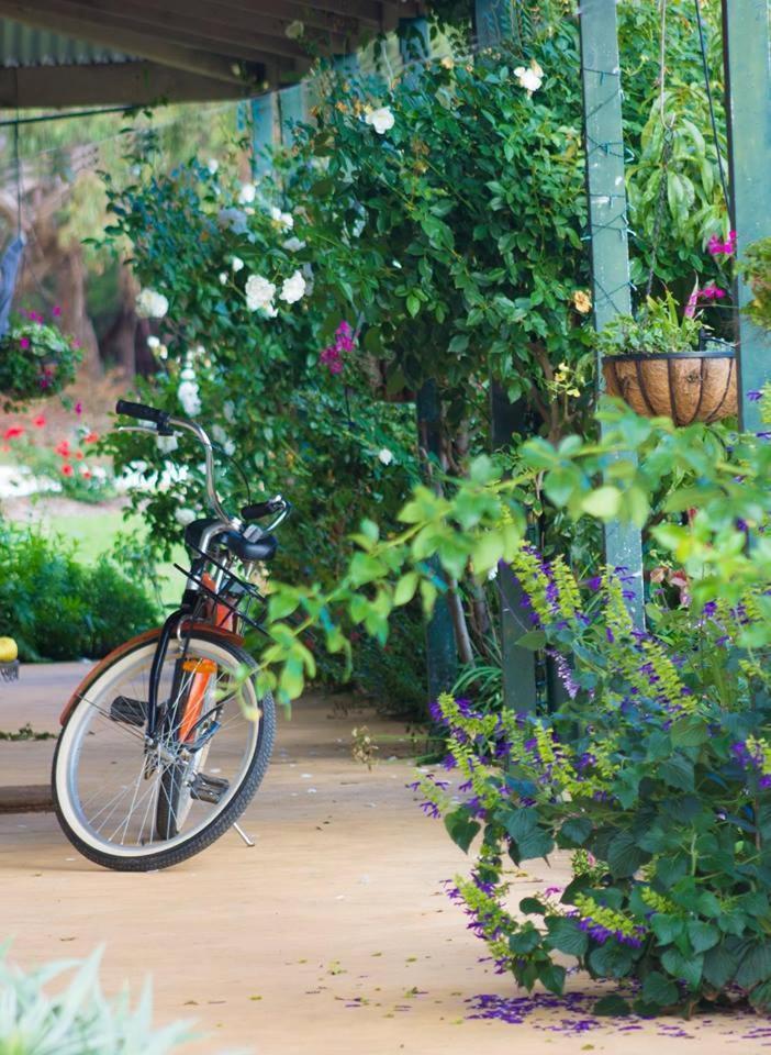 Freshwater Creek Cottages & Farm Stay Torquay Esterno foto