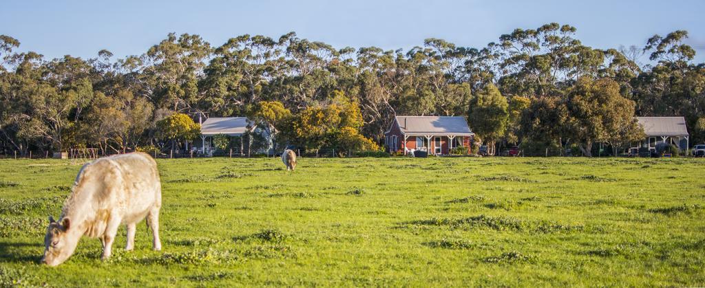 Freshwater Creek Cottages & Farm Stay Torquay Esterno foto