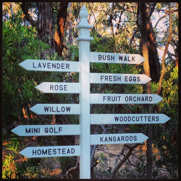 Freshwater Creek Cottages & Farm Stay Torquay Esterno foto