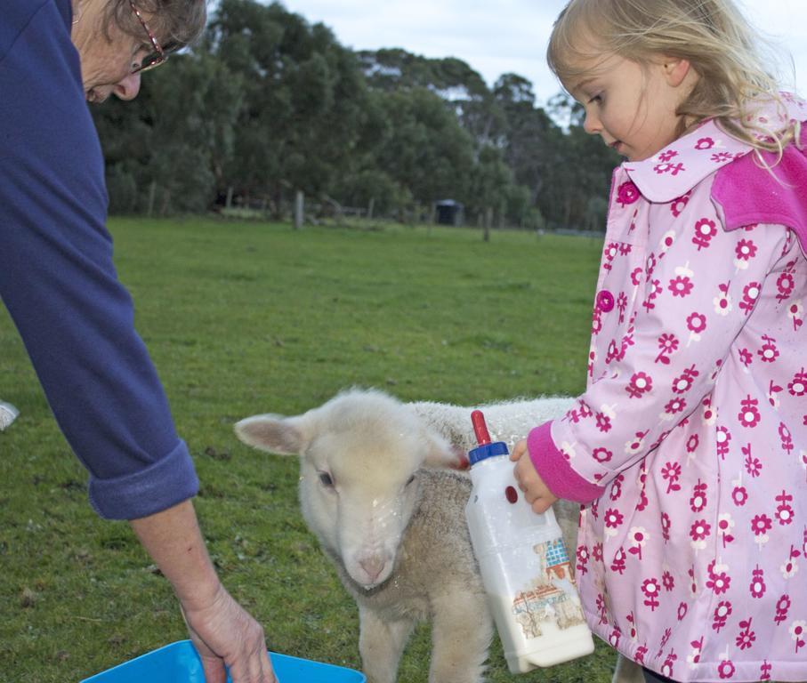Freshwater Creek Cottages & Farm Stay Torquay Esterno foto